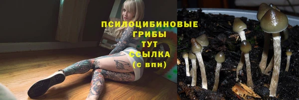 гидропоника Бородино