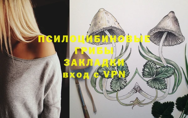 бошки Богородицк