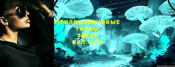 бошки Богородицк