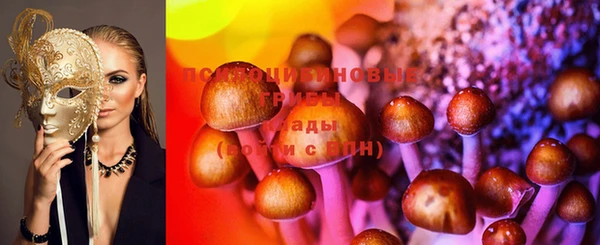 бошки Богородицк