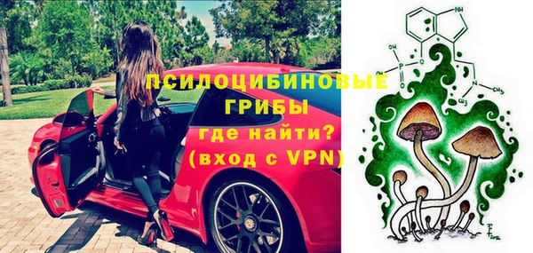 крисы Богородск